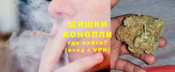 сатива Белоозёрский
