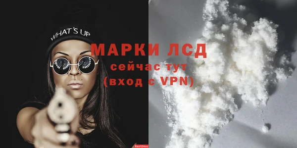 прущие грибы Беломорск