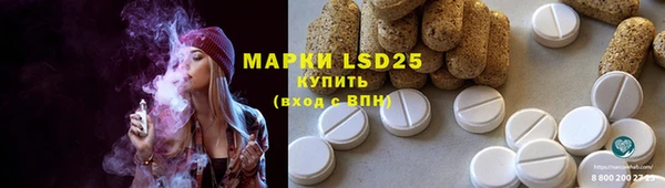 прущие грибы Беломорск