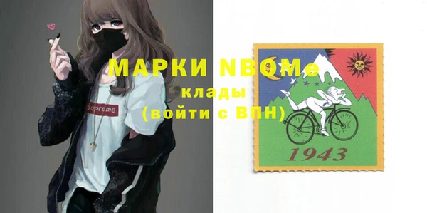 прущие грибы Беломорск