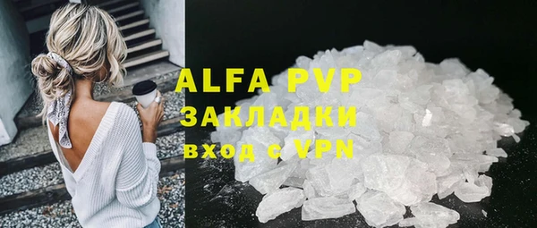 сатива Белоозёрский