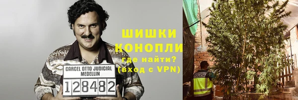 сатива Белоозёрский