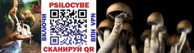 Галлюциногенные грибы Magic Shrooms  Ворсма 